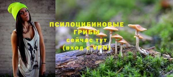 прущая мука Волоколамск