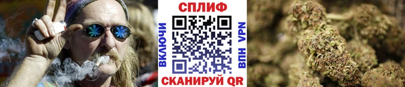 наркота  Егорьевск  Шишки марихуана Ganja 